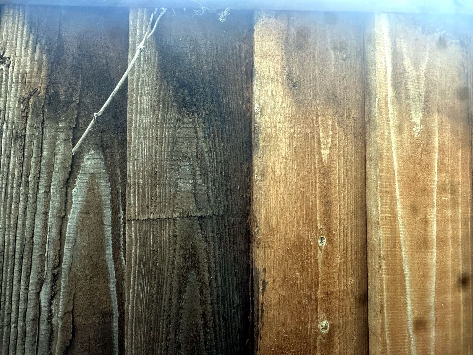 Before and after restoring a weathered wood fence: gray, grimy boards cleaned back to a bright, natural wood tone.
